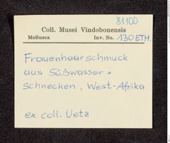 Etikett zu Frauenhaarschmuck aus Süßwasserschnecken (NHMW-ZOO-MO-0081100-ETH-130)